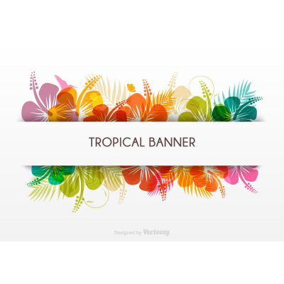 тропический баннер баннер